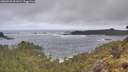 ./images/calvert/foggy-cove/20260510/foggy-cove20260510_101001M.jpg