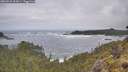 ./images/calvert/foggy-cove/20260510/foggy-cove20260510_102001M.jpg