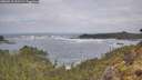 ./images/calvert/foggy-cove/20260510/foggy-cove20260510_102501M.jpg