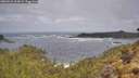 ./images/calvert/foggy-cove/20260510/foggy-cove20260510_103002M.jpg