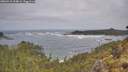 ./images/calvert/foggy-cove/20260510/foggy-cove20260510_104001M.jpg