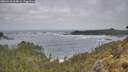 ./images/calvert/foggy-cove/20260510/foggy-cove20260510_104501M.jpg