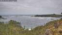 ./images/calvert/foggy-cove/20260510/foggy-cove20260510_105002M.jpg