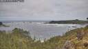 ./images/calvert/foggy-cove/20260510/foggy-cove20260510_105502M.jpg