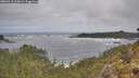 ./images/calvert/foggy-cove/20260510/foggy-cove20260510_110001M.jpg