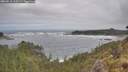 ./images/calvert/foggy-cove/20260510/foggy-cove20260510_110502M.jpg