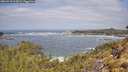 ./images/calvert/foggy-cove/20260510/foggy-cove20260510_113001M.jpg