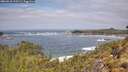 ./images/calvert/foggy-cove/20260510/foggy-cove20260510_113501M.jpg
