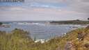 ./images/calvert/foggy-cove/20260510/foggy-cove20260510_114501M.jpg