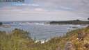 ./images/calvert/foggy-cove/20260510/foggy-cove20260510_115001M.jpg