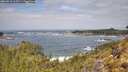 ./images/calvert/foggy-cove/20260510/foggy-cove20260510_115501M.jpg