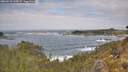 ./images/calvert/foggy-cove/20260510/foggy-cove20260510_120001M.jpg