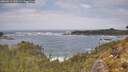 ./images/calvert/foggy-cove/20260510/foggy-cove20260510_120502M.jpg