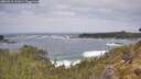 ./images/calvert/foggy-cove/20260510/foggy-cove20260510_121001M.jpg