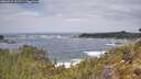 ./images/calvert/foggy-cove/20260510/foggy-cove20260510_121501M.jpg