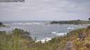 ./images/calvert/foggy-cove/20260510/foggy-cove20260510_123001M.jpg