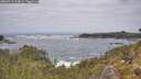 ./images/calvert/foggy-cove/20260510/foggy-cove20260510_124002M.jpg