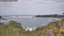 ./images/calvert/foggy-cove/20260510/foggy-cove20260510_124501M.jpg