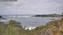 ./images/calvert/foggy-cove/20260510/foggy-cove20260510_125001M.jpg