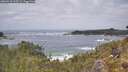 ./images/calvert/foggy-cove/20260510/foggy-cove20260510_125502M.jpg