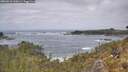 ./images/calvert/foggy-cove/20260510/foggy-cove20260510_130001M.jpg