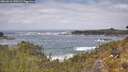 ./images/calvert/foggy-cove/20260510/foggy-cove20260510_130502M.jpg