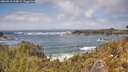 ./images/calvert/foggy-cove/20260510/foggy-cove20260510_134001M.jpg