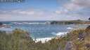 ./images/calvert/foggy-cove/20260510/foggy-cove20260510_134501M.jpg