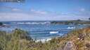 ./images/calvert/foggy-cove/20260510/foggy-cove20260510_135501M.jpg