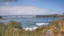 ./images/calvert/foggy-cove/20260510/foggy-cove20260510_141501M.jpg