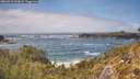 ./images/calvert/foggy-cove/20260510/foggy-cove20260510_142001M.jpg