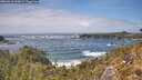 ./images/calvert/foggy-cove/20260510/foggy-cove20260510_143001M.jpg