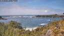 ./images/calvert/foggy-cove/20260510/foggy-cove20260510_144001M.jpg