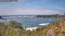 ./images/calvert/foggy-cove/20260510/foggy-cove20260510_144501M.jpg