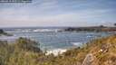 ./images/calvert/foggy-cove/20260510/foggy-cove20260510_153502M.jpg