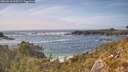 ./images/calvert/foggy-cove/20260510/foggy-cove20260510_160501M.jpg