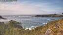 ./images/calvert/foggy-cove/20260510/foggy-cove20260510_162501M.jpg