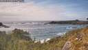 ./images/calvert/foggy-cove/20260510/foggy-cove20260510_163001M.jpg