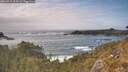 ./images/calvert/foggy-cove/20260510/foggy-cove20260510_163501M.jpg