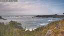 ./images/calvert/foggy-cove/20260510/foggy-cove20260510_164001M.jpg