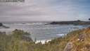 ./images/calvert/foggy-cove/20260510/foggy-cove20260510_164501M.jpg