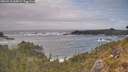 ./images/calvert/foggy-cove/20260510/foggy-cove20260510_165001M.jpg