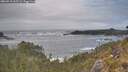 ./images/calvert/foggy-cove/20260510/foggy-cove20260510_165501M.jpg
