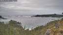 ./images/calvert/foggy-cove/20260510/foggy-cove20260510_171001M.jpg