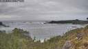 ./images/calvert/foggy-cove/20260510/foggy-cove20260510_172001M.jpg