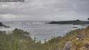 ./images/calvert/foggy-cove/20260510/foggy-cove20260510_172502M.jpg