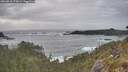 ./images/calvert/foggy-cove/20260510/foggy-cove20260510_173002M.jpg