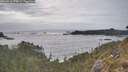 ./images/calvert/foggy-cove/20260510/foggy-cove20260510_175001M.jpg