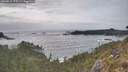 ./images/calvert/foggy-cove/20260510/foggy-cove20260510_175501M.jpg