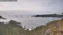 ./images/calvert/foggy-cove/20260510/foggy-cove20260510_180501M.jpg